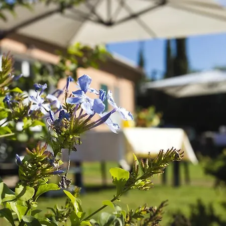 Ferruggini Agroturismo Bolgheri